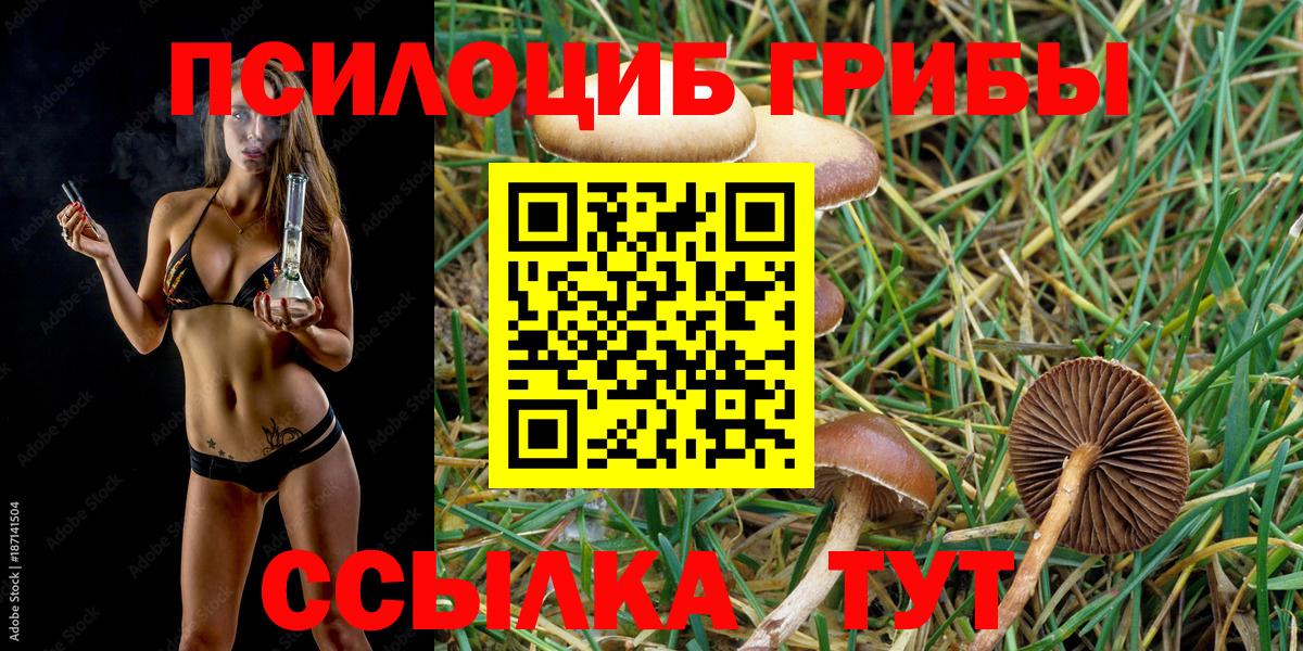 Псилоцибиновые грибы мухоморы Пушкино