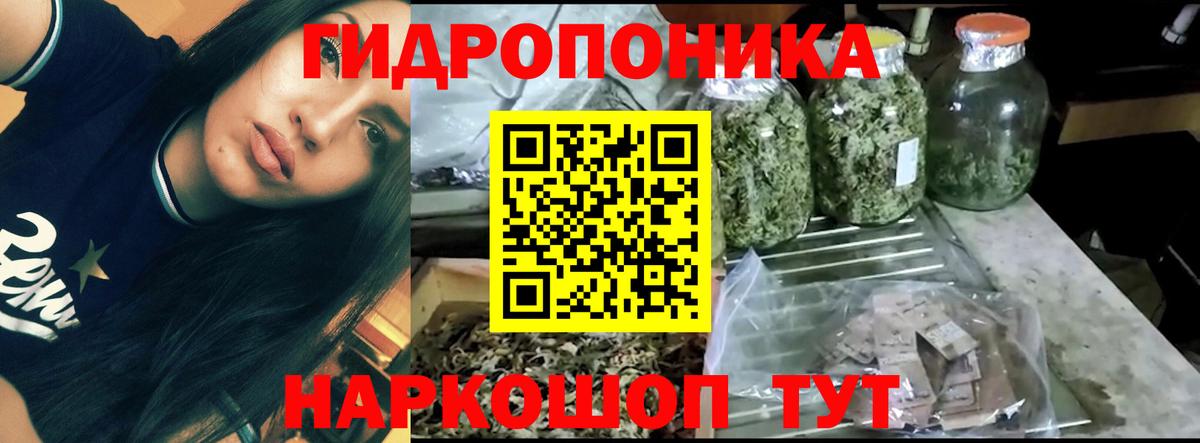 Бошки марихуана THC 21%  Конопля конопля  Пушкино  Вход с VPN  Каннабис конопля  Каннабис SATIVA & INDICA 